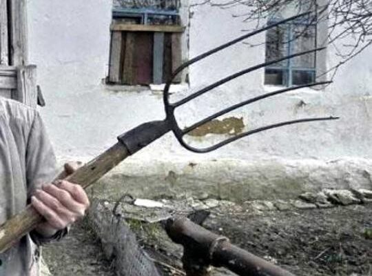 поліцейський вила кримінал