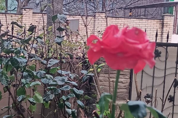 Погода Волинь 2 листопада