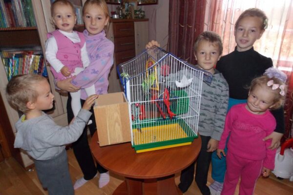 Замість стати безплідною народила шестеро діток