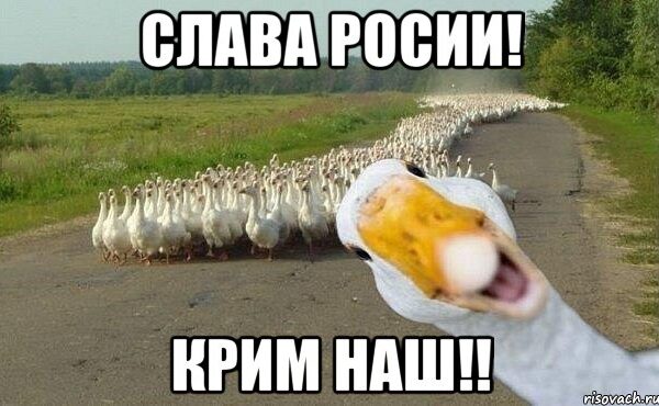 Від Криму до Кунаширу