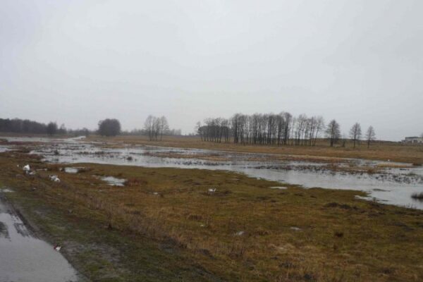 Пів Полісся вода залила…
