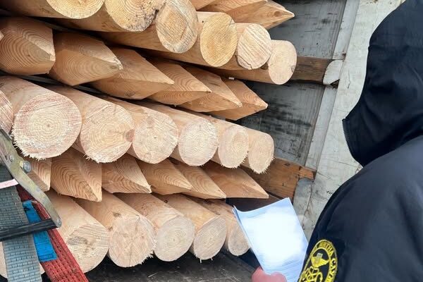 На Волині на кордоні вилучили деревину