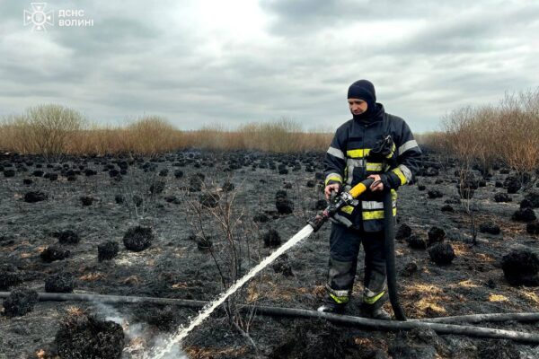 Рятувальники ліквідовують пожежу торф’яника поблизу села Глухи, Волинська область, 1 квітня 2025 року