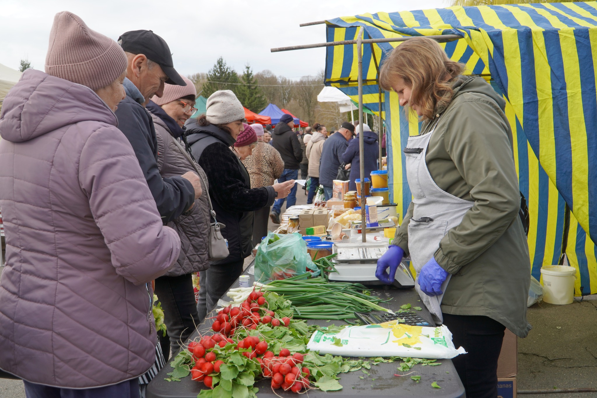 передвеликодній сільскогосподарський ярмарок у Володимирі