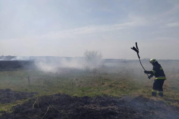 горіли чагарники у Рожищенській громаді
