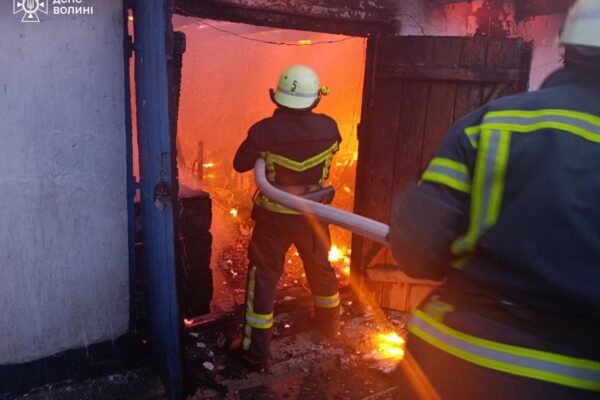 рятувальники гасять пожежу у Володимирському районі