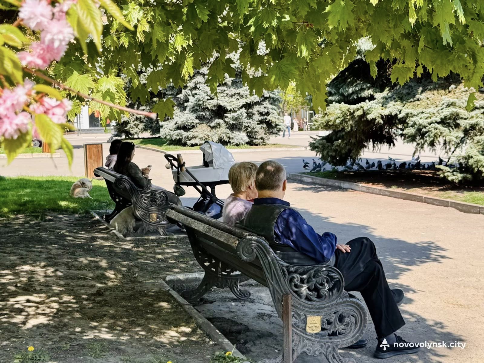 Нововолинськ весна