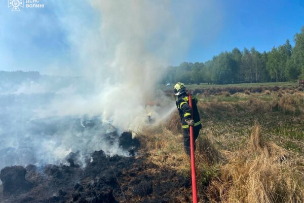 ліквідація пожежі на відкритій території