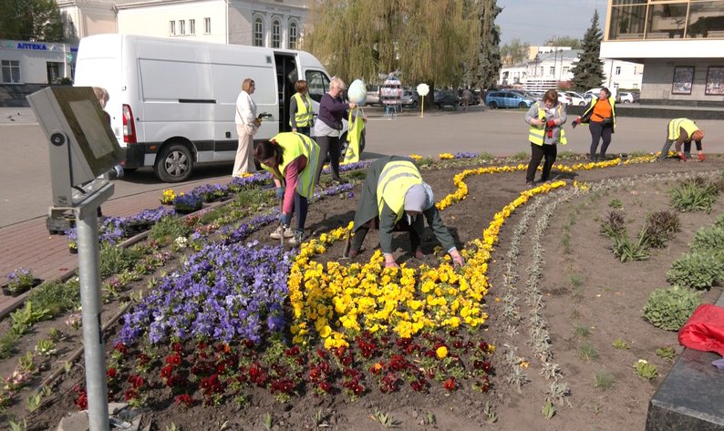 висадка квітів у луцьку