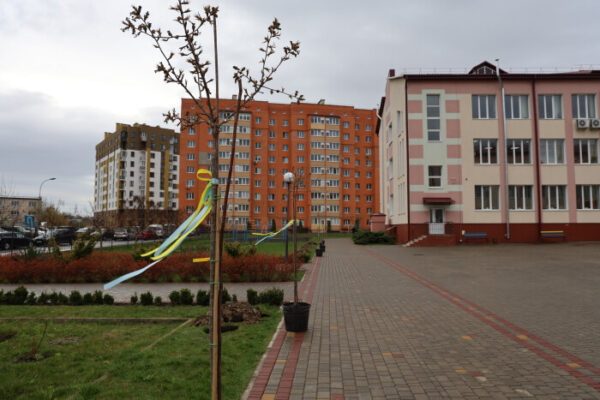 У Луцькій громаді з’явилося понад 1000 нових дерев та кущів нові дерева у Луцькій громаді