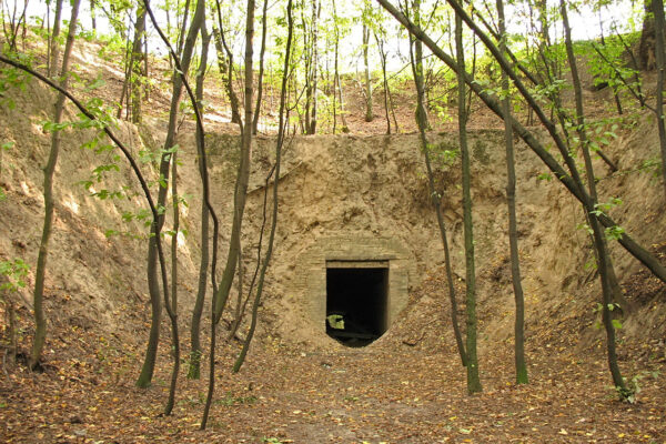 Київ Лиса гора