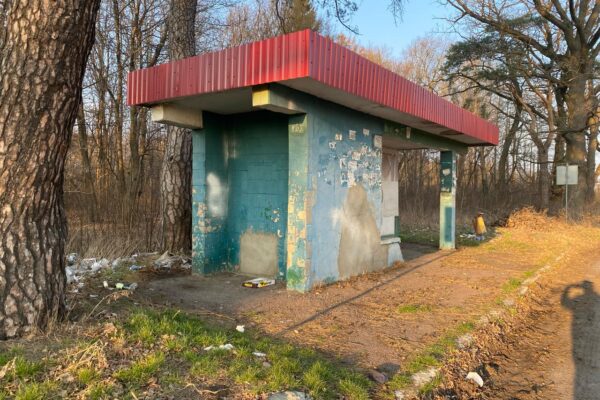 У Звірові на автобус очікують тварини? Зупинка Звірів автобус катастрофа