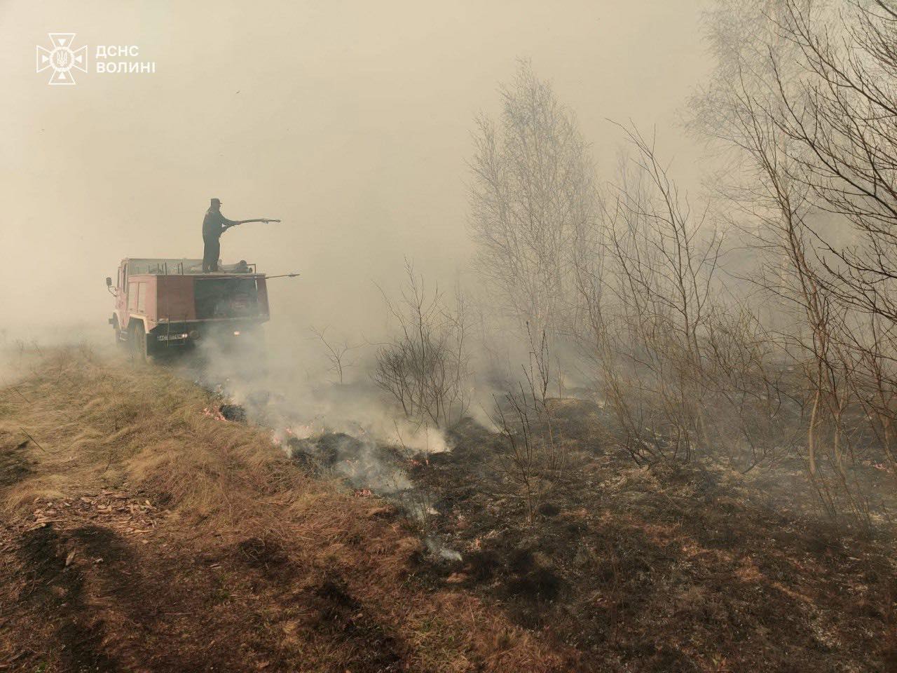 підпалили ліс та побили лісника  