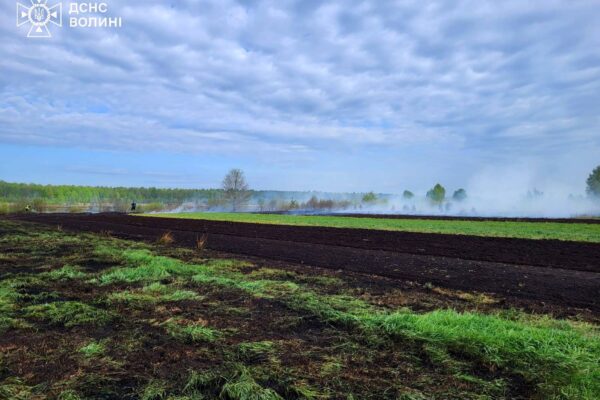 пожежі на відкритих територіях 