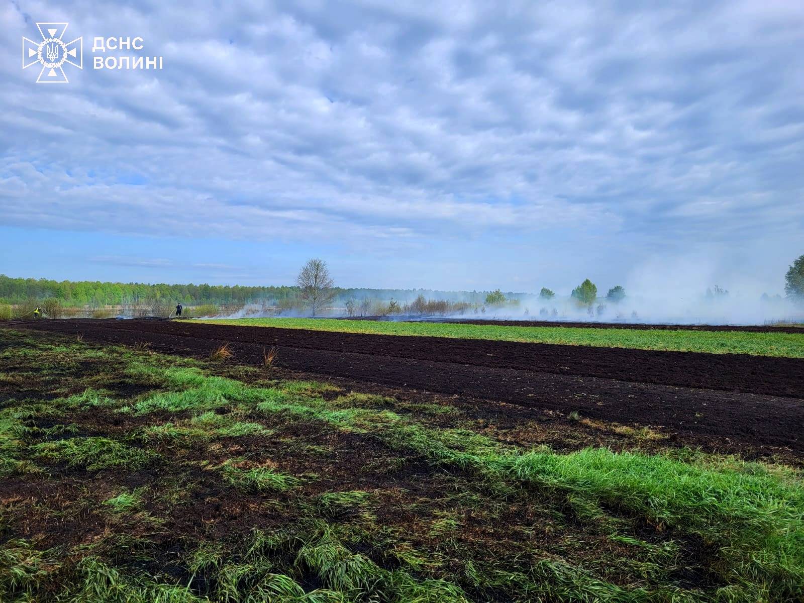 пожежі на відкритих територіях 