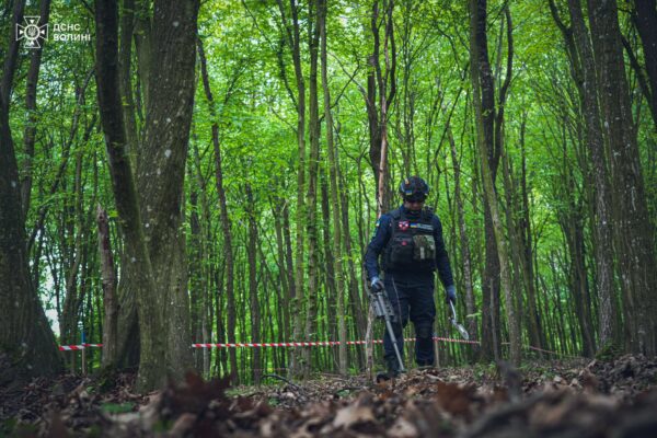 піротехніки в урочищі Липинщина поблизу села Затурці Володимирського району