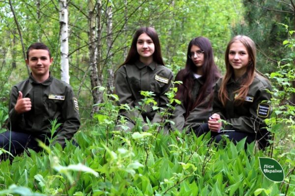 Ліс і діти, що ростуть разом 