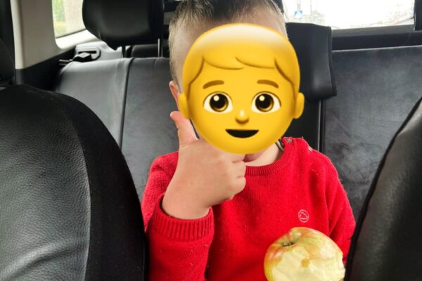 У Луцьку батькам повернули маленького мандрівника У Луцьку батькам повернули маленького мандрівника