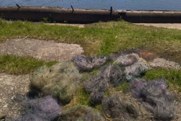 На озері Оріхівське вилучили 600 м браконьєрських сіток