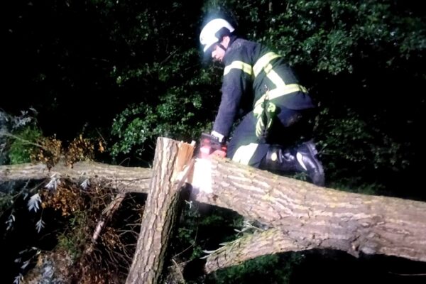 У Луцькому районі рятувальники прибрали повалене дерево з проїжджої частини У Луцькому районі рятувальники прибрали повалене дерево з проїжджої частини