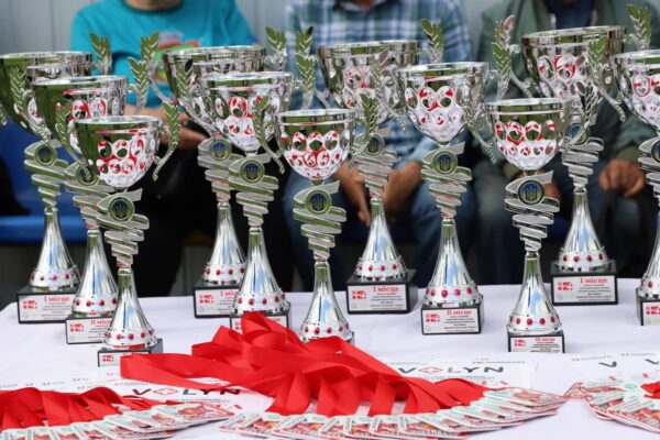 У Камінь-Каширську відбувся обласний фестиваль фізкультури і спорту 