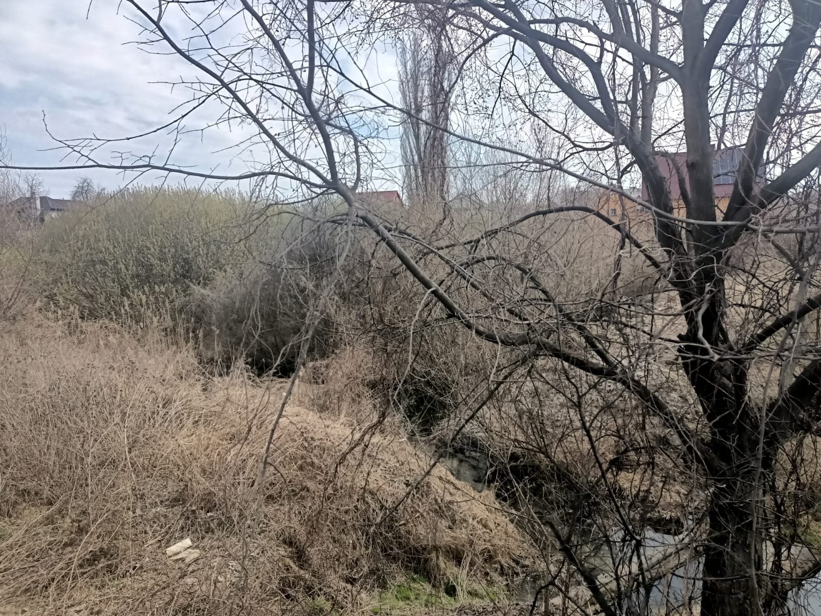 Забудова вулиця Чорновола Луцьк Парк імені 900-річчя Луцька