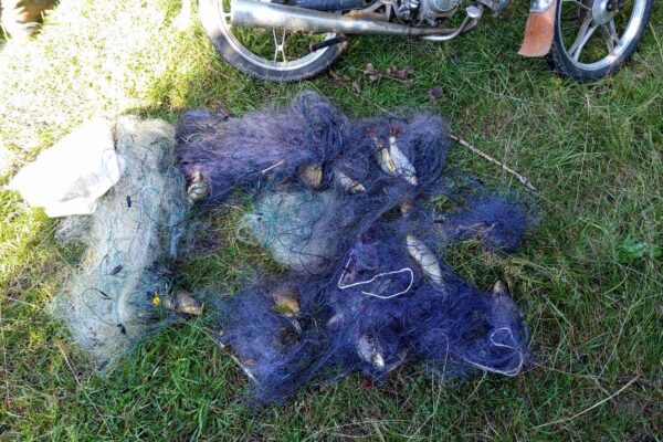 На Ковельщині незаконно наловили риби на понад 40 тисяч гривень 