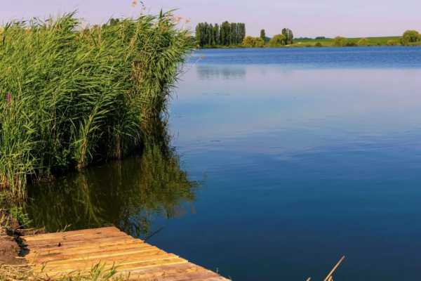 водойма