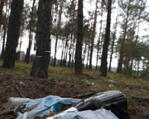 На Волині фіксують масове засмічення лісів 