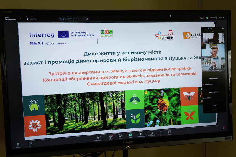Співпраця Луцьк Жешув
