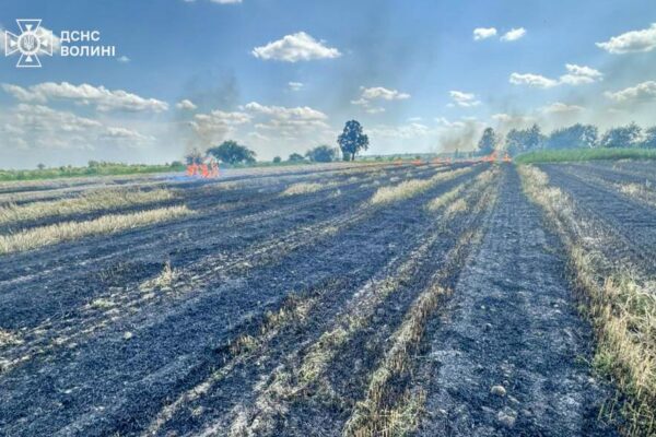 На Волині через спалювання стерні ледь не згоріло зернове поле 