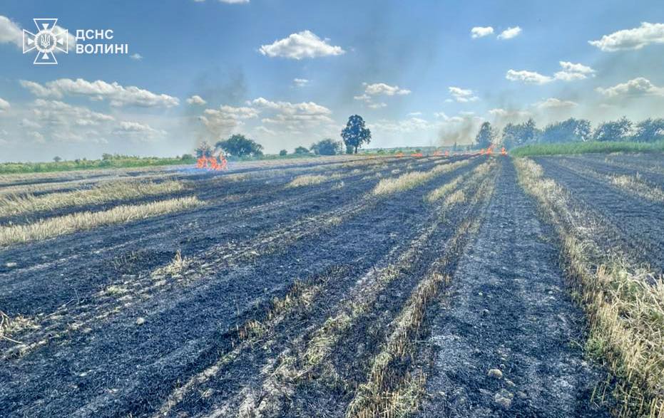 На Волині через спалювання стерні ледь не згоріло зернове поле 