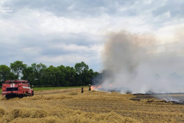 На Волині за добу ліквідували 5 пожеж 