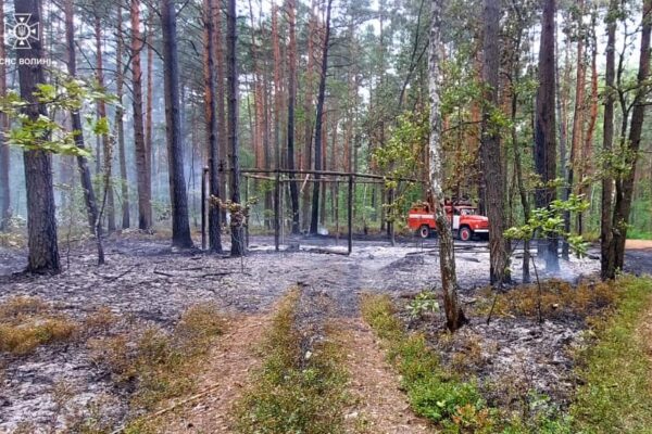На Волині горів ліс: причина пожежі - підпал 