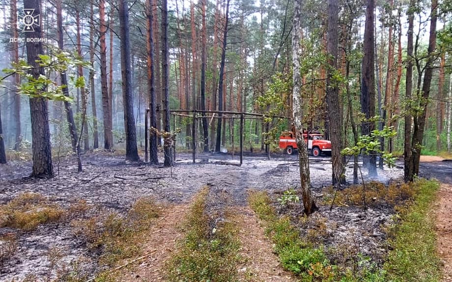На Волині горів ліс: причина пожежі - підпал 