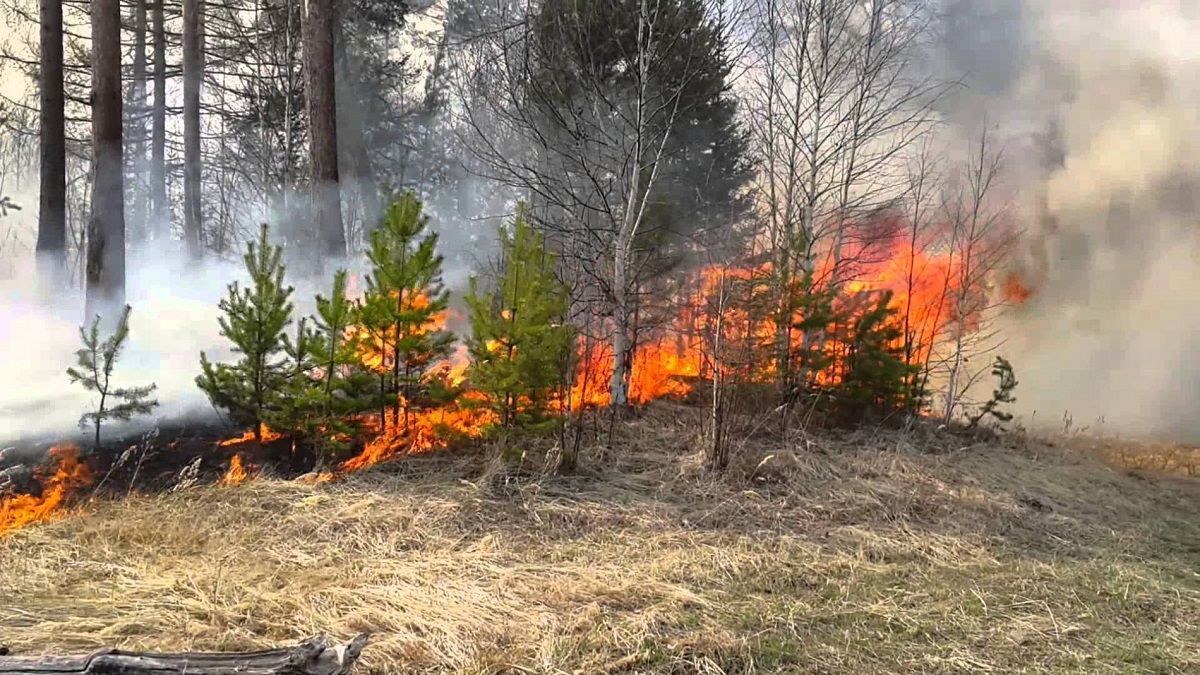 На Волині падіння шахедів спричинило лісову пожежу 