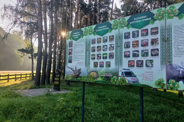 демонтаж пам'ятника партизанам-ковпаківцям Волинь бюрократія