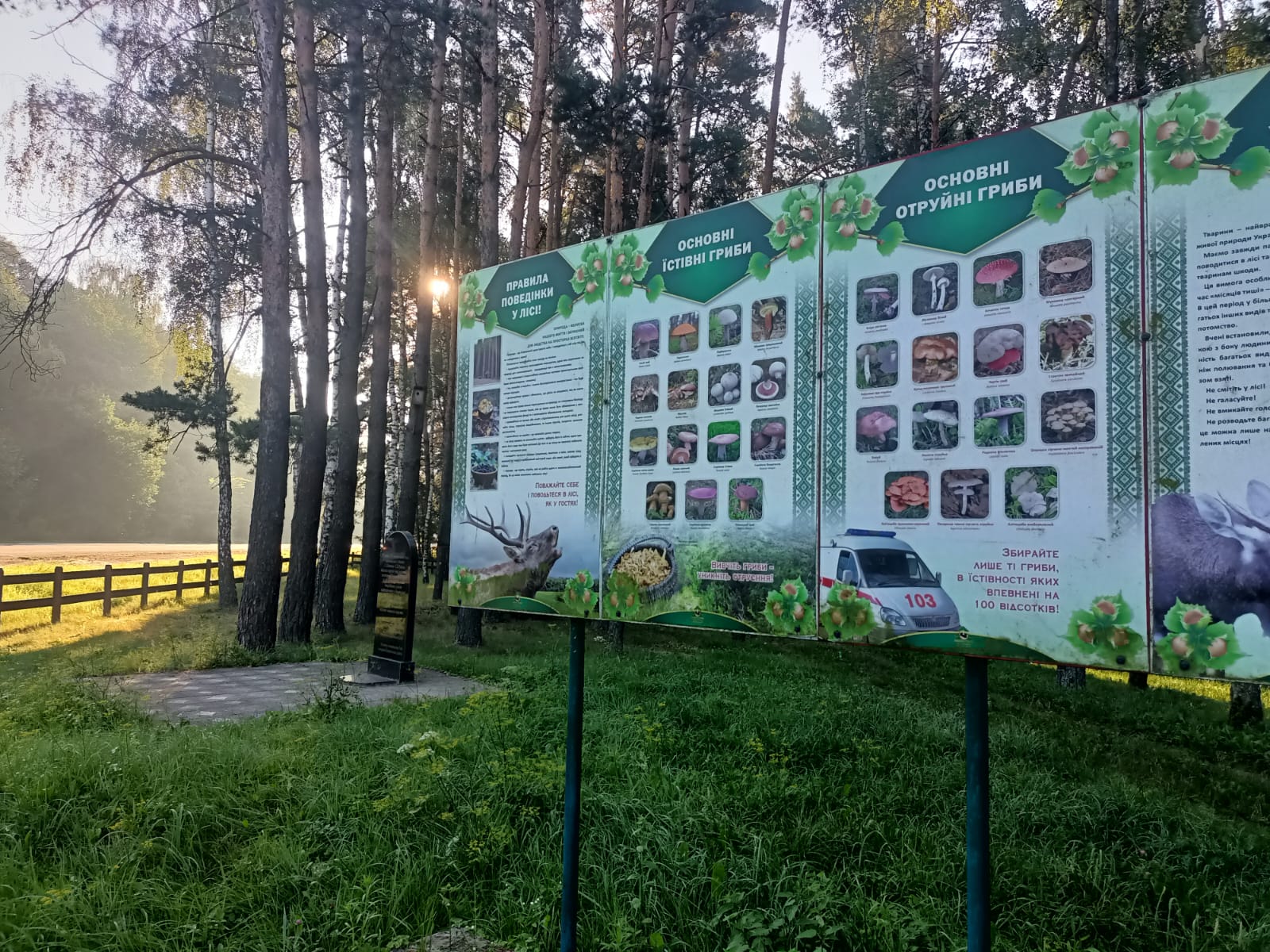 демонтаж пам'ятника партизанам-ковпаківцям Волинь бюрократія
