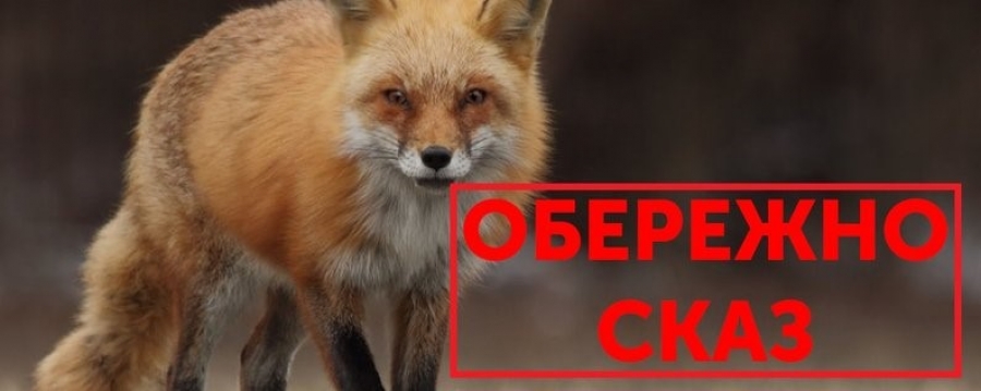 Сказ ковельський район Волинь карантин