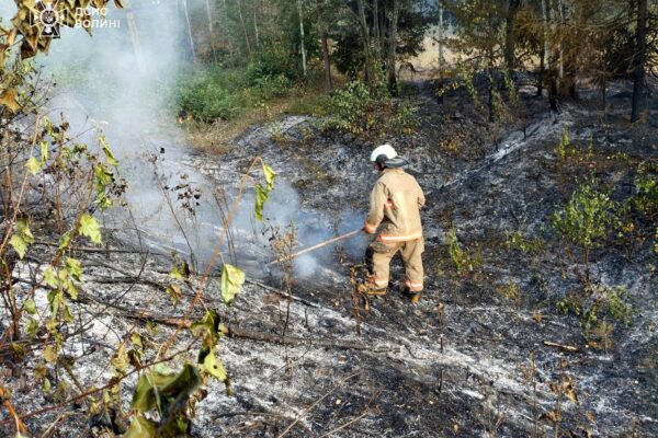 На Камінь-Каширщині ліквідували масштабну пожежу сухостою 