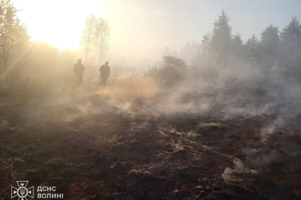 На Волині горить торф’яник На Волині горить торф'яник