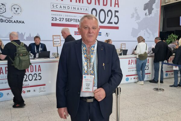 Луцький мед – найкращий у світі Луцький мед - найкращий у світі