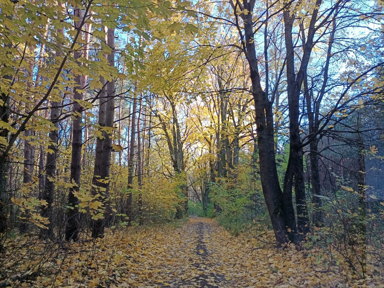 Погода Волинь 27 жовтня