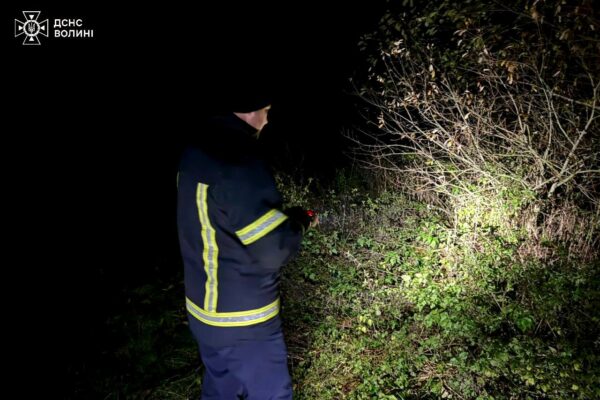 На Волині цілу ніч розшукували підлітка, який заблукав у лісі 