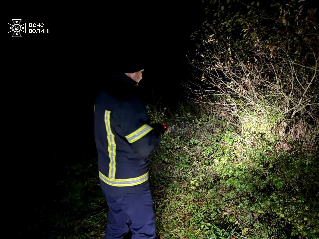На Волині цілу ніч розшукували підлітка, який заблукав у лісі 