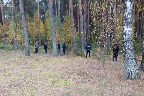 На Ковельщині 74-річна жінка пішла в ліс по гриби і не повернулася. 