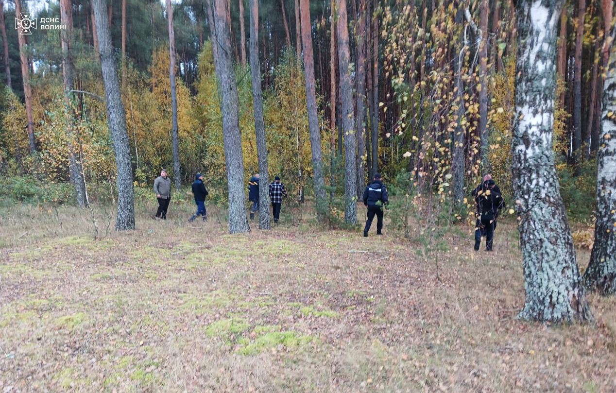 На Ковельщині 74-річна жінка пішла в ліс по гриби і не повернулася. 