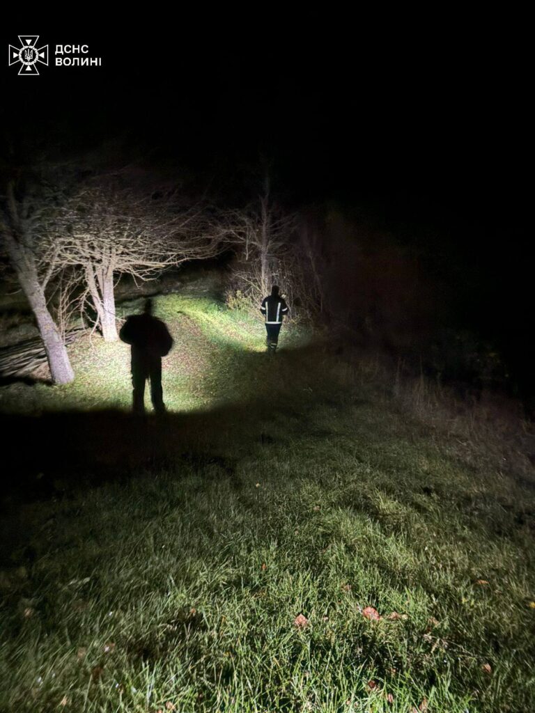 На Волині цілу ніч розшукували підлітка, який заблукав у лісі 