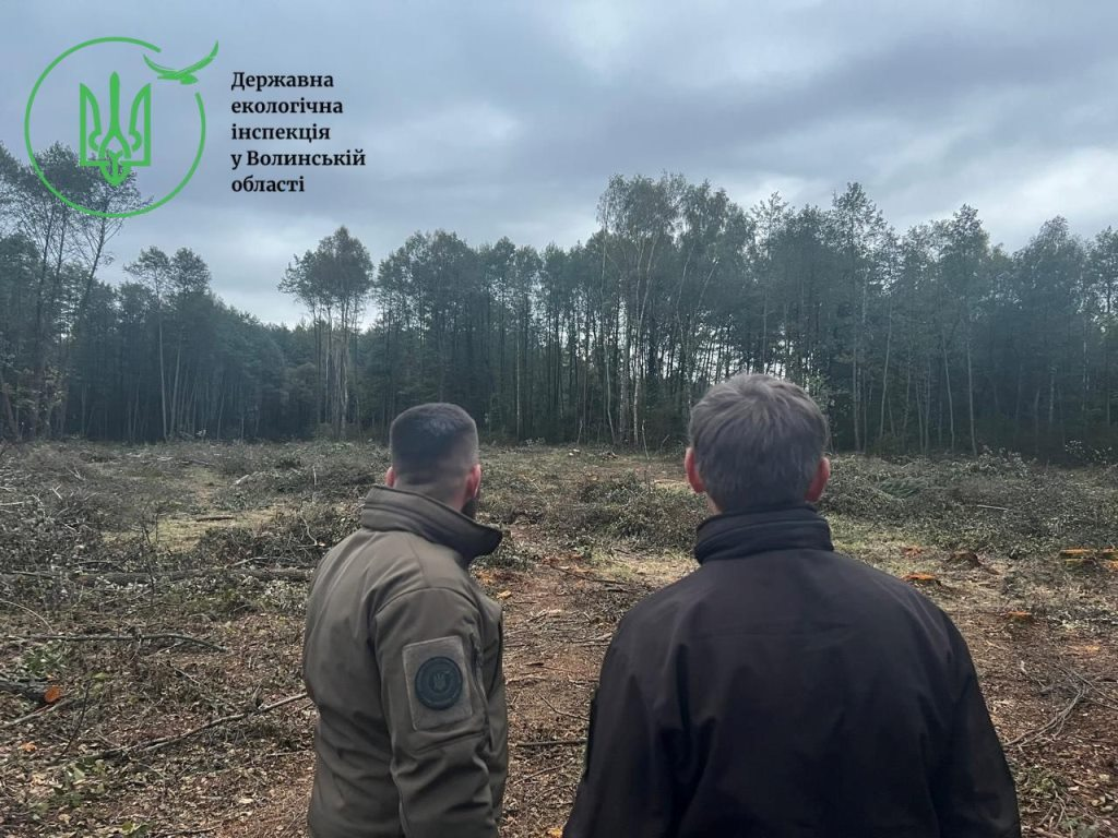 незаконна вирубка лісів на Волині