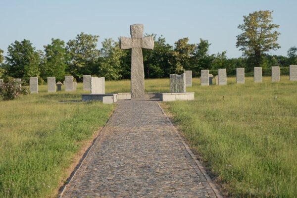 Село Дубове Ковельський район ексгумація німецьких військовополонених